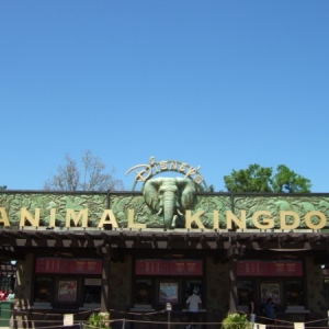 Animal Kingdom