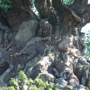 Tree of Life