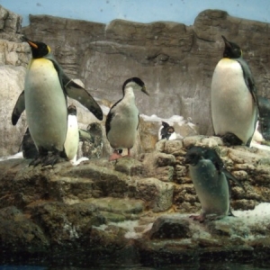 Sea World
