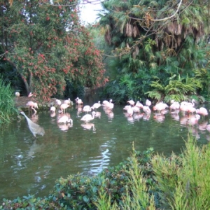 Sea World