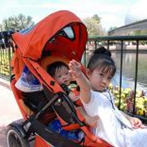 Double Stroller