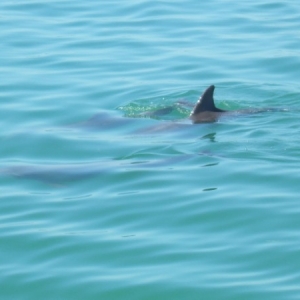 St Pete Beach
