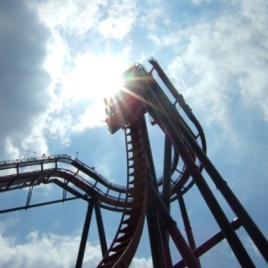 SheiKra at Busch Gardens