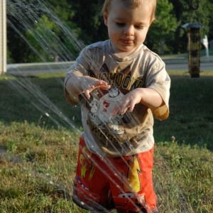 Sprinkler 7