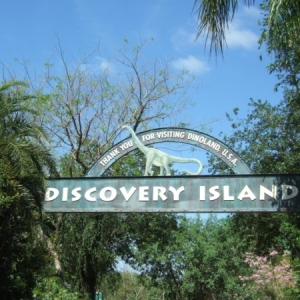 Animal Kingdom