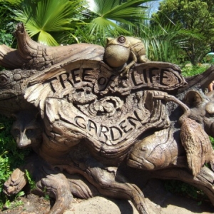 Animal Kingdom