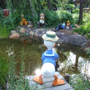 Camp Minnie-Mickey