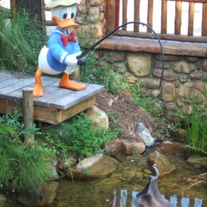 Camp Minnie-Mickey