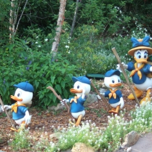 Camp Minnie-Mickey
