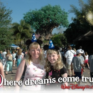 Animal Kingdom