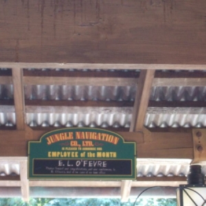Jungle Cruise