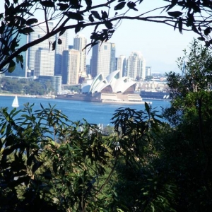 Sydney from Toronga zoo