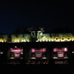 Disney3-07b_185_Small_