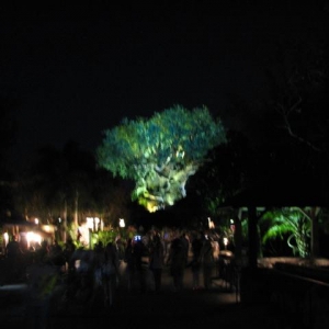 Disney3-07b_188_Small_