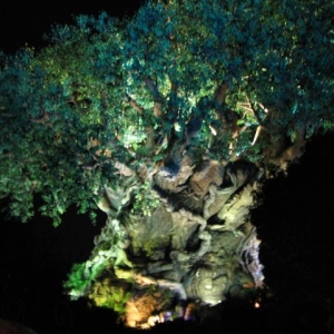 Disney3-07b_199_Small_