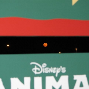 Disney3-07b_176_Small_