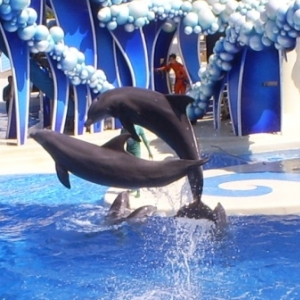 florida_404