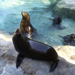 florida_417
