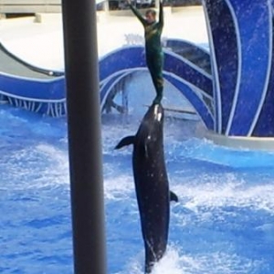 florida_542