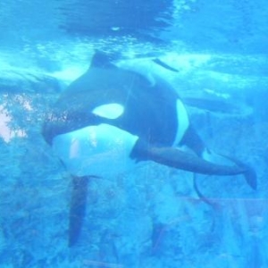 florida_552