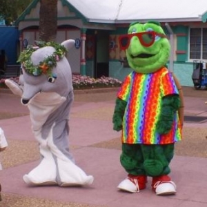 florida_562