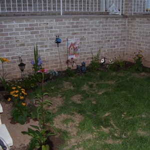 Flowers_001_Small_