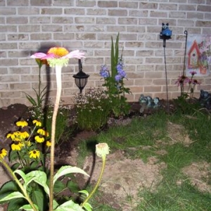 Flowers_010_Small_