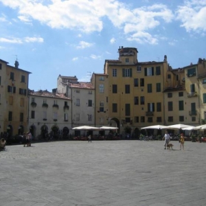 Med_DCL_2007_sm10