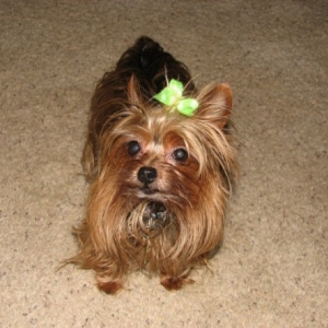 emmie1