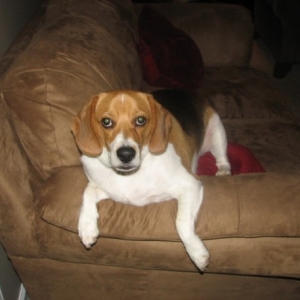 grady1