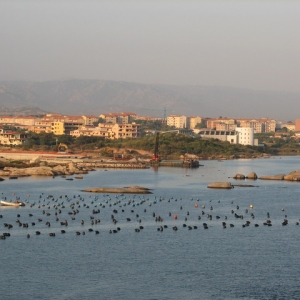 Disney Mediterranean Cruise - Olbia, Sardinia 8/1/07