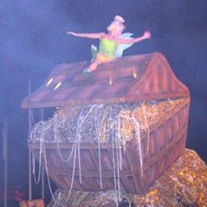 dis_photo_tink_par