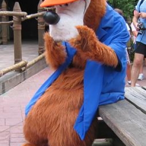 mk_dis_photo_brer_bear