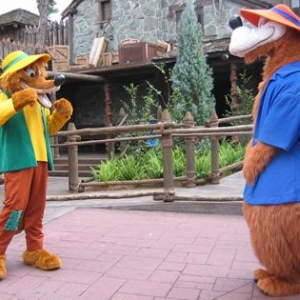 mk_dis_photo_brer_fight