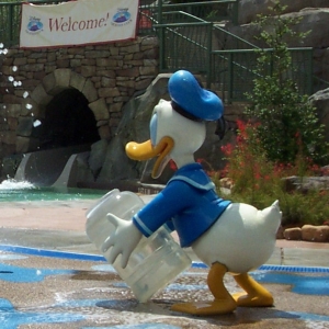 donaldssr