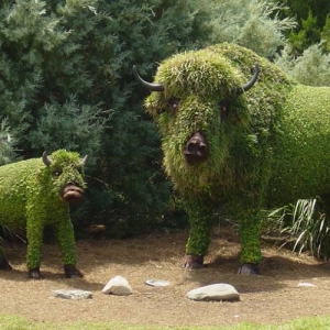 buffs_edited