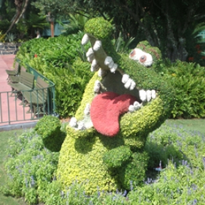 The originbal Disney Croc