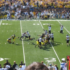 Wolverines