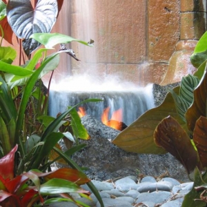 FIRE!