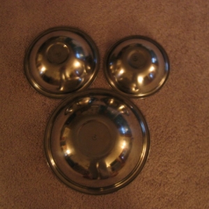 a_hidden_mickey11