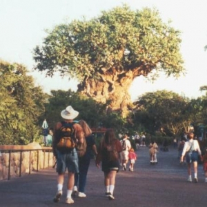 Tree_of_Life