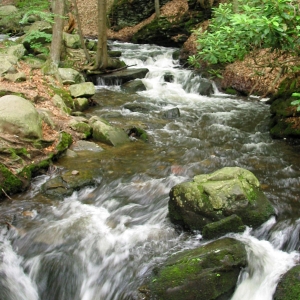 Bushkill Falls 3