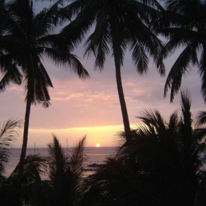 wallpaper_sunset_palms-2298