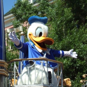 Magic Kingdom