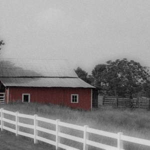 SelectiveBarn