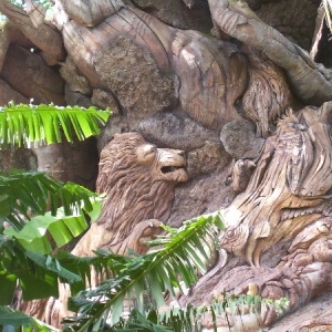 treeoflife1