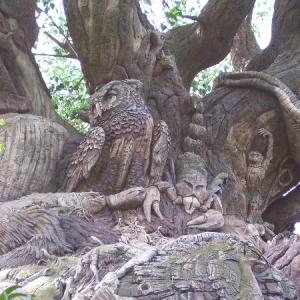treeoflife2