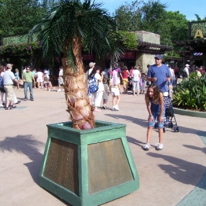 wes_palm