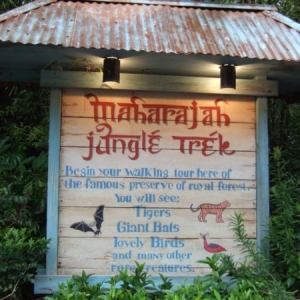Animal Kingdom