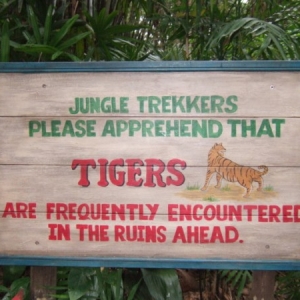 Animal Kingdom